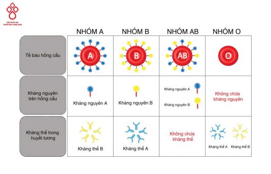 Có bao nhiêu hệ nhóm máu?